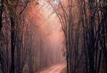 冲2025首冠!郑钦文首秀时间确定,被“冷落”后,组委会紧急弥补.