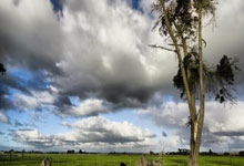 亚冬会:山东运动员公俐连战连捷斩获“开门红“.:欧博官网