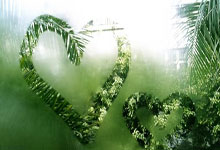 国安赛前为于大宝举办退役仪式,董事长周金辉送上纪念球衣.