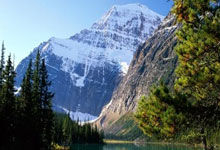 中国队获得亚冬会男子冰壶铜牌央视新闻客户端.:欧博官网