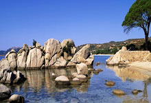 [澳网]斯维亚特克爆冷不敌基斯.